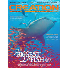 Creation Magazine Vol 43 #2   2021